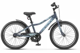 Stels Pilot 210 VC 20 Z010 (2021)
