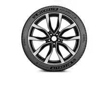 Шины MICHELIN PILOT SPORT 4 SUV 315/40 R21 115Y XL 018347