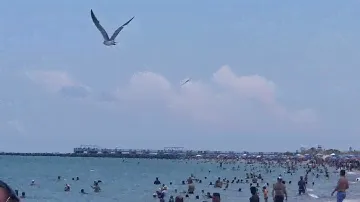 B2 Stealth Bomber flies over Miami Beach (5/30/21)